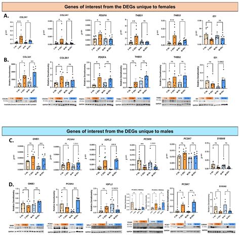 Sex Disparity in Systemic Sclerosis-Associated Pulmonary Fibrosis