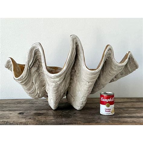 Vintage Cast Resin Giant Clamshell | Chairish