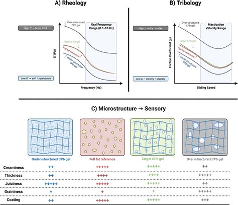 Carbohydrate–Protein Hydrogels as Fat Replacers: Design Criteria and Benchmarking Against Full ...