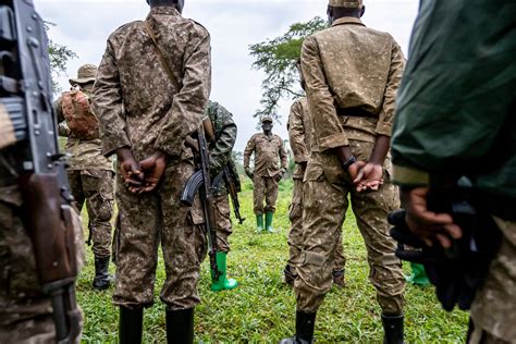 Uganda reintroduces rhinos into a protected area where they have been ...