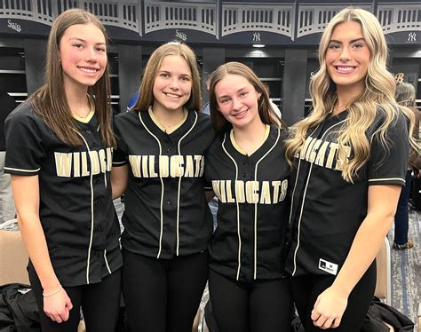 Lackawanna League softball Western Wayne Wildcats Division II