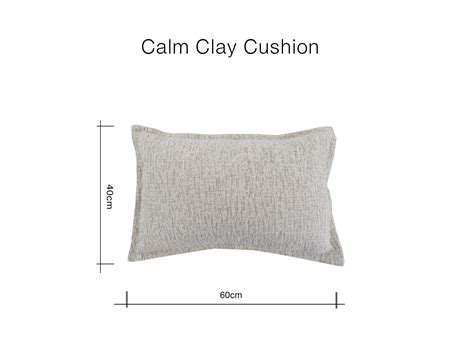 40cm x 60cm Beige Accent Cushion - Calm Clay - EZ Living Furniture