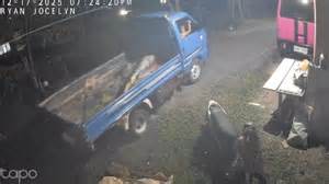 Close call as pickup truck reverses while a girl is inside in Barili ...