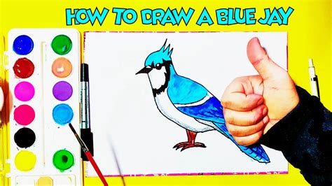 How to Draw a Blue Jay - Step-by-Step Drawing and Coloring Page | Mimy