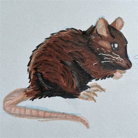 @stellupine on Tumblr