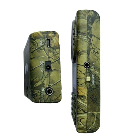 What Birds Eat Fruit: A Complete Guide