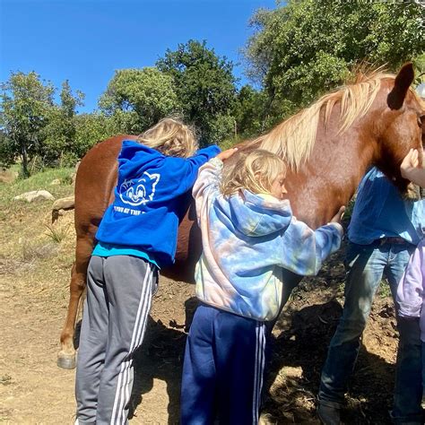 MINDFUL MUSTANG AT RUGGED RANCH (2026) All You SHOULD Know Before Going ...