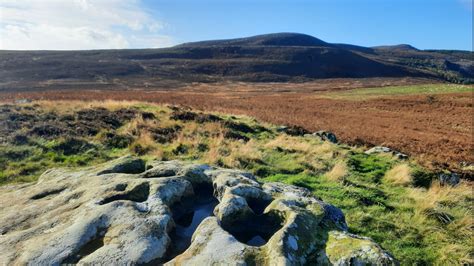 Rothbury Estate in Northumberland sold to Wildlife Trusts - BBC News