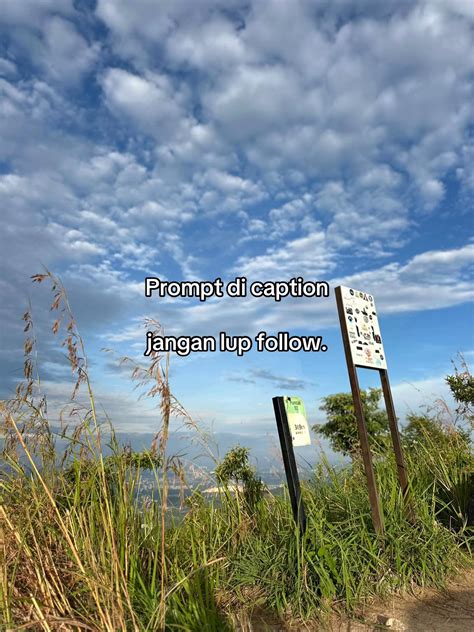 . /imagine EXTREME ultra-photorealistic cinematic live-action portrait ...