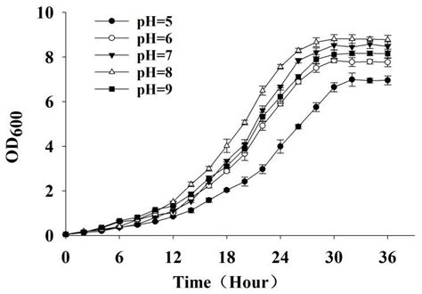 Optimization of Fermentation Process for Recombinant Marine-Derived Metallothionein-Producing ...