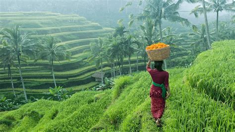 18 Tempat Wisata di Bali yang Wajib Dikunjungi 2025