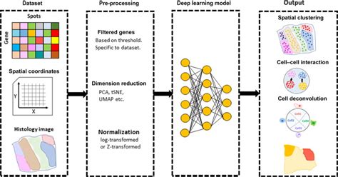 Spatial transcriptomics data and analytical methods: an updated ...