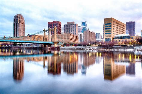 Young black bear recovering from leg amputation after gunshot wound