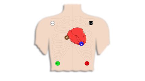 What is Electrocardiogram (ECG)? - Nursing Unraveled - One For All