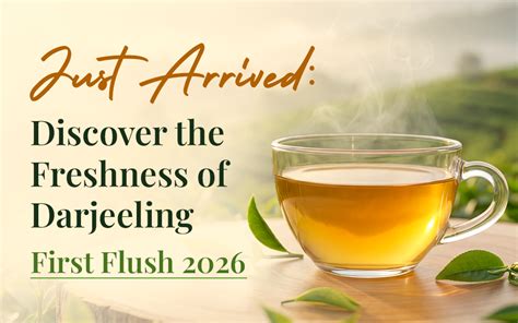 Buy Darjeeling First Flush 2026: Fresh Arrival, Taste & Brewing Guide ...