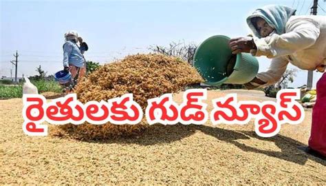 Andhra Pradesh rain impact farmers | Zee News Telugu