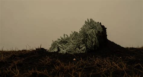 What Physiological Changes Occur in Fish Due to Sudden Temperature ...