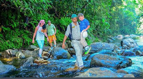 RAINFOREST FIELD VIEW RESORT (Deniyaya) - Lodging Reviews, Photos, Rate ...