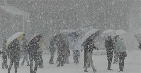 DCP leads raid on rave party, arrests 50 in Jpr