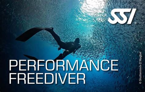SSI Relaunches Performance Freediver Program - DeeperBlue.com