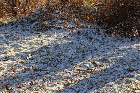 September 29 Holiday