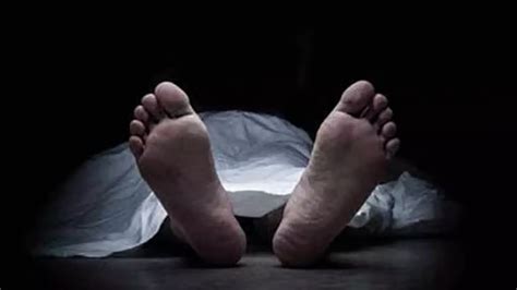 Two killed, over half a dozen injured as harvester hits wedding bus in ...