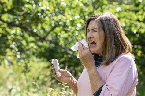 UK drivers issued 'pollen bomb' warning - £1,000 fine