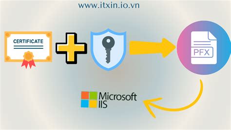 Hướng dẫn tạo file .pfx và import vào IIS mới nhất 2025 - IT XỊN