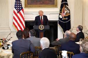 Trump Seizes Control of Republicans' 2026 Election Strategy With His ...
