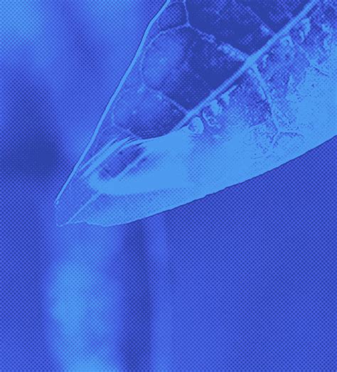 Feds Signal Pivot on East Coast Shipping Speed Rules - Washington Today