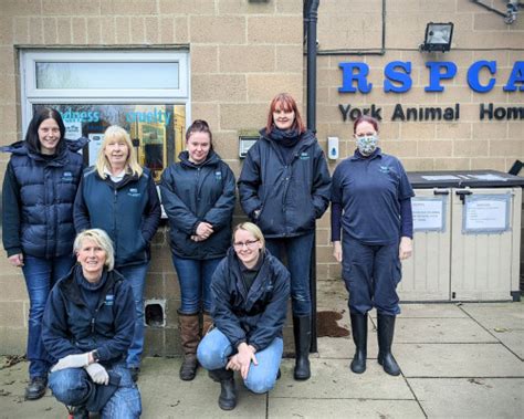 Run in the York 10K - RSPCA York, Harrogate & District Branch