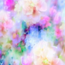 Make a background composed of vibrant flowers in full bloom with a dreamlike quality.
