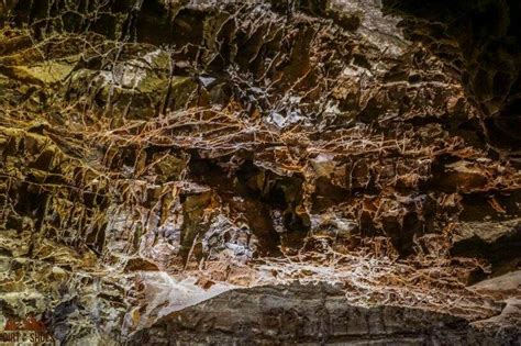 Image result for Wind Cave EFT Machine