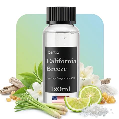 California Breeze — Luxury Resort Diffuser Oil | The Delano® Inspired ...
