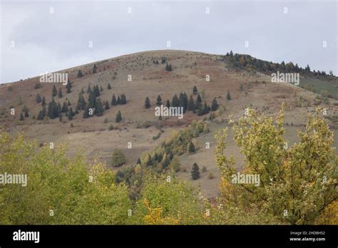 Beautiful Countryside 的图像结果