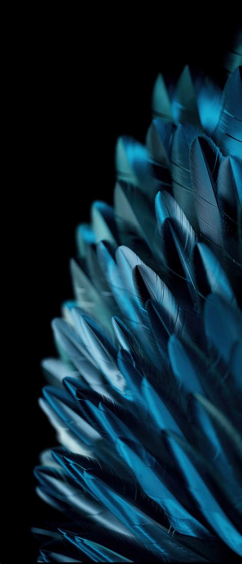 Oppo Find N2 Flip Wallpapers - Wallpaper Cave