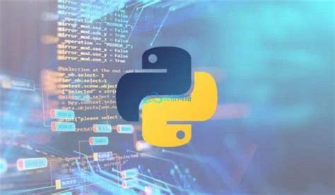 Python Programminig 的图像结果