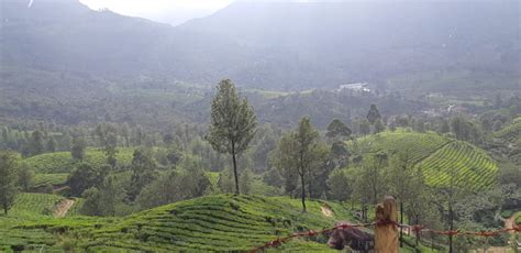 Genomatics ® – Variants Deciphered