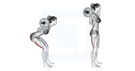 Good Morning Exercise 的图像结果