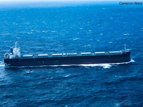TAHO AMERICA, Bulk Carrier - Details and current position - IMO 9846055 ...