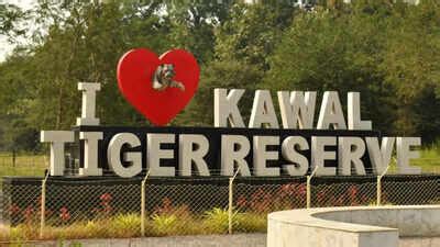 Telangana: Jungle safari launched at Kawwal Tiger Reserve to promote ...