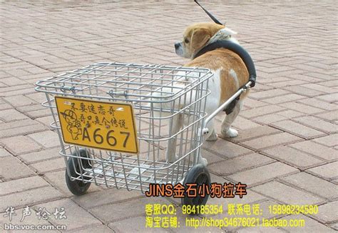 单身狗喜闻乐见的首批雅马哈MT03提车报告 - 摩托车二手网