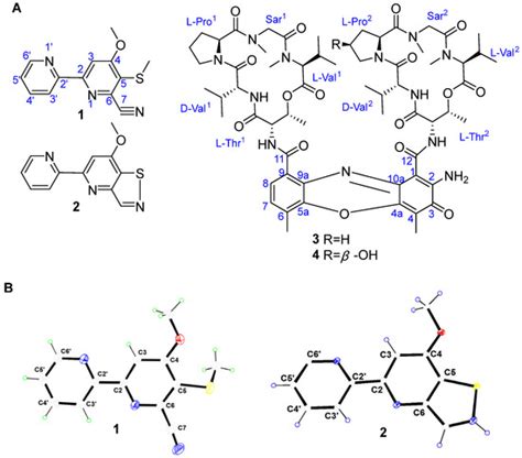 Genome Sequencing of Streptomyces griseus SCSIO PteL053, the Producer ...
