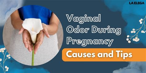 Vaginal Odor During Pregnancy | Get Rid of Vaginal Odor | La-elega - la ...