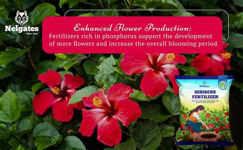Nelgates Hibiscus plant fertilizer for plant growth,flower booster ...