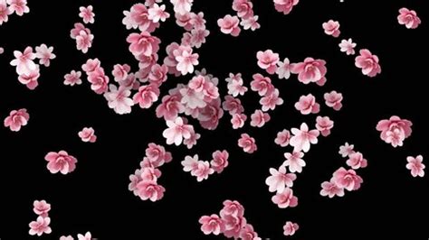 Image result for Falling Flower Animation
