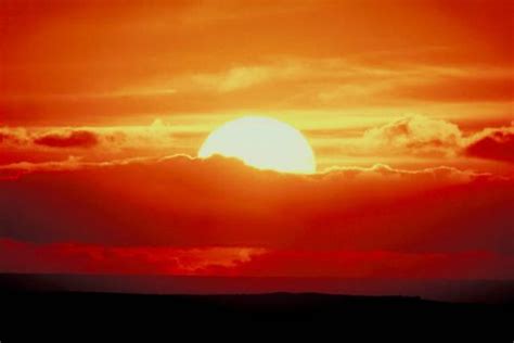 Med kao lijek – COVER – Prirodni lijek