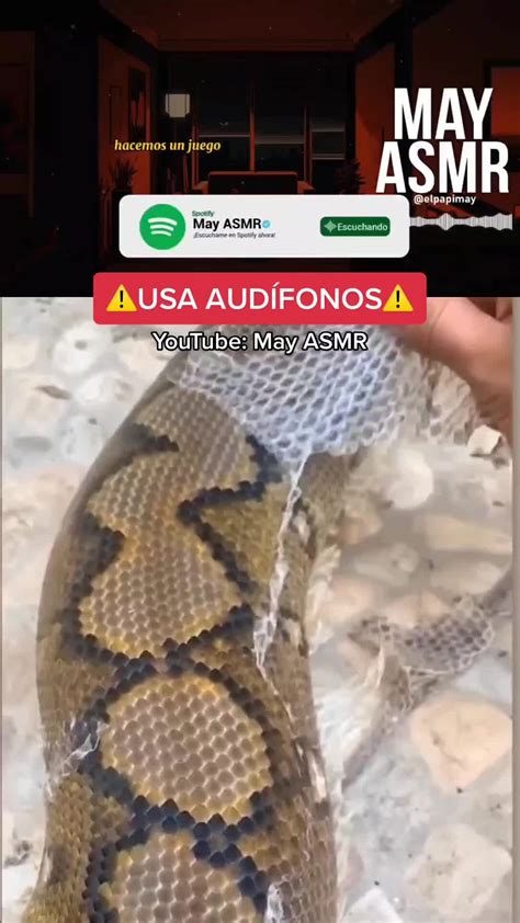 May ASMR 🐅 | ASMR (+17) PRIMO de tú EX te RETA A BESARLO!! 😳 | Roleplay ASMR | Español | May ...