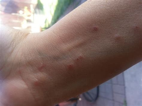 PACIFIC INN (Grover Beach) - Inn Reviews, Photos, Rate Comparison ...