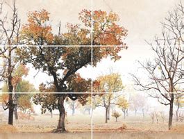 Tolstoi Tree Set 6 Pcs 600 x 300 mm Matte Finish Ceramic Glazed Digital ...